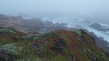 Misty Coastline of Carmel By The Sea and Big Sur - a Rugged Stretch of California Central Coast known for Winding Roads and Seaside Cliffs