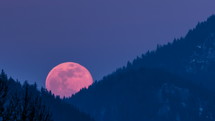 Red super moon rising over forest in blue evening sky at full-moon Time lapse
