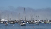 Hundred of Ships on Monterey Bay Beach California and Thick Mist Cloud Fog on The Background