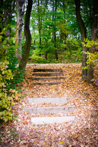 Tree-lined path with steps covered with fall leaves.