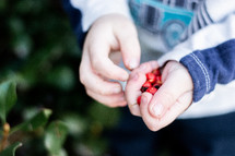 toddler holding berries in his hands 