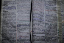 notes in the pages of a Bible 