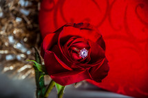 engagement ring in a red rose 