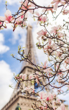 pink spring flowers and Eiffel tower 