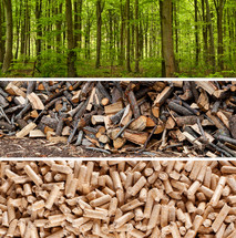 Steps of production wood pellets
