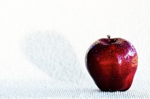A red apple with waterdrops isolated on a while textured background