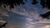 Magic view of night sky with milky way galaxy over tree branch silhouette Time lapse
