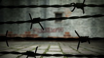 Barbed wire and prison wall. Freedom concept animation.
