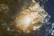 sun through branches abstract background 