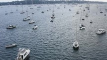 Sailboats at Newport Island