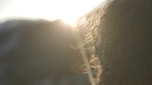 A Figure a person clothed in white with long curl hair with the sun in front of them