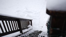 snow falling on steps 
