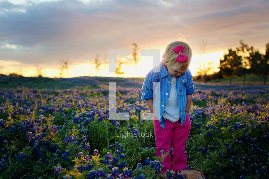 Little girl in wildflower field