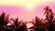 Pink sunset on sea with silhouettes of palm trees on the beach. Beautiful sunset with palm tree on the ocean beach. Tropical sunset