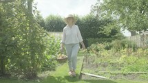 Steady cam view of a senior caucasian woman walking through her garden themes of retirement seniors gardening hobbies
