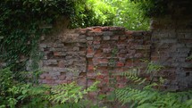 Brick ruins in the forest