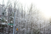 snow covered street signs and power lines