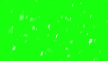 Snow background it is snowing green screen

