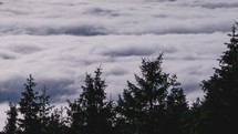 River of clouds moving fast over trees forest silhouette in wild nature time lapse
