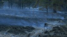Stumps burning in the aftermath of a forest fire