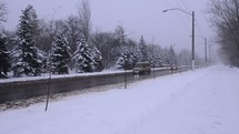 winter scene with snow 