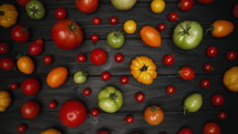 Top view tomatoes varieties on black wooden surface. Organic vegetables harvest