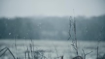 falling snow in a field 