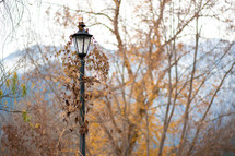 Street lamp in the Fall