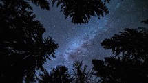 Time lapse of milky way galaxy stars light turning looking up in dark forest silhouette Astronomy Background 
