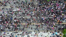 Protest Aerial View	
