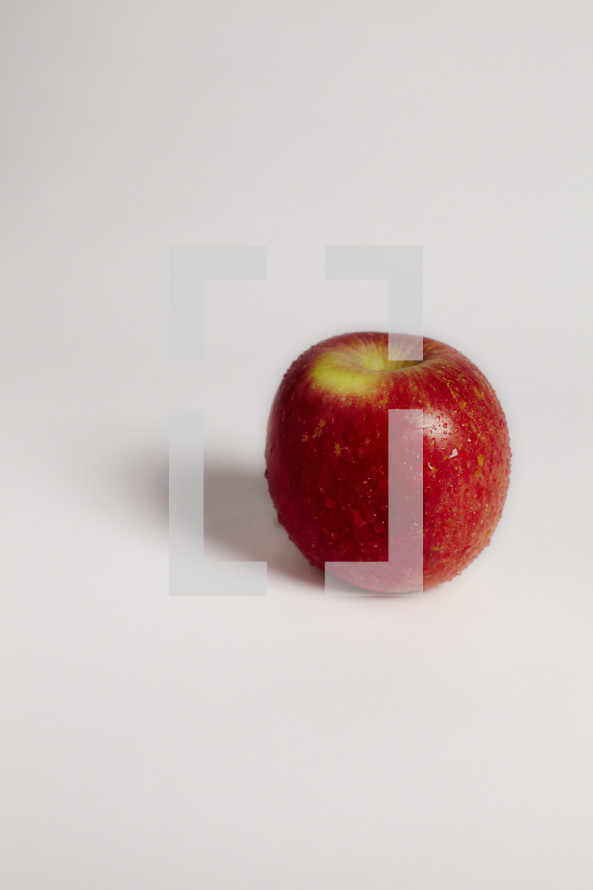 A red apple on seamless white