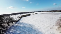 Snowy vineyard 