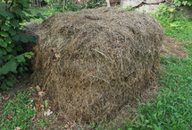 heap of hay in a meadow of green grass
