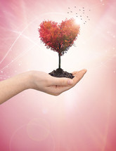 hand holding soil and a tree in the shape of a heart with flying birds