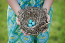 child holding a birds nest