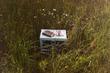 book and coffee cup on a table in tall grasses 