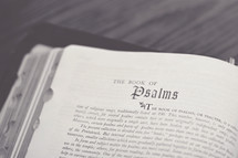 Bible open to the book of Psalms.