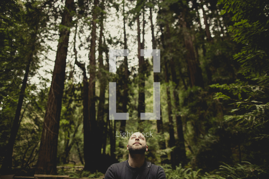 man looking up in a forest