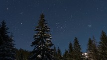 Stars moving over winter forest in night sky in cold mountains nature at moonlight Timelapse
