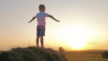 Silhouette of a cute boy standing on a haystack, on a warm summer evening and dreaming about flying.