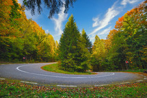 hairpin turn in a mountain road in autumn colored forest at sunrise