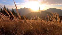 Colorful peaceful sunset over autumn mountains nature with dry grass in foreground
