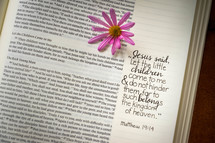 notes on the side of pages of a Bible 