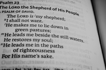 The Lord is my shepherd; I shall not want, Psalm 23 