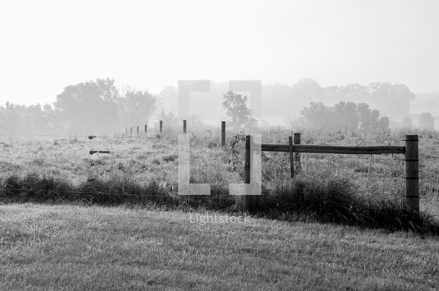 fence line in a pasture
