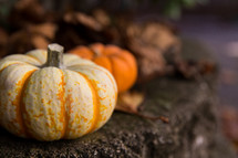 striped pumpkin for fall 