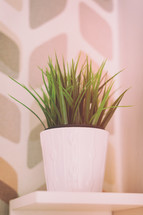 small green plant on the white shelf