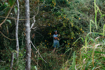 a man picking oranges in a forest 