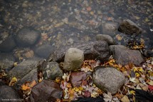 Fall leaves and rocks next to a stream.