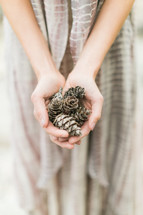 A woman's hands full of pine cones.